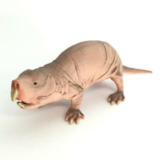 Kaiyodo Capsule Q Unique Animal Zoo Mini Figure Naked Mole - Rat Import Japan