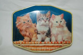 Vintage Rare George W.  Horner & Co.  Candy Toffee Tin 3 Kittens England CUTE 2