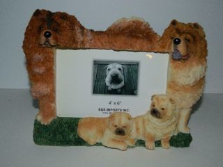 Chow Chow Dog Resin Picture Frame Photo Standing Desk 4 " X 6 " Puppies Dogs