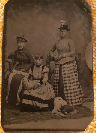 Tintype Photograph Young Mother W/ Daughters And Two Large Dogs