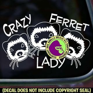 Crazy Ferret Lady Vinyl Decal Sticker Ferrets Weasel Love Sign Car Window Wall