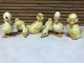 6 Sweet Vintage Lefton Ceramic Yellow Baby Ducks/ Ducklings Realistic