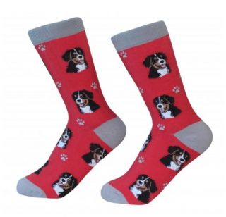 Bernese Mountain Dog Socks Unisex Dog Cotton/poly One Size Fits Most