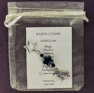 Raven Totem Charm Amulet Talisman Crow Bird Magick Symbolism Card Pagan Wiccan
