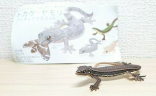 Kitan Club Nature Techni Colour Japanese Grass Lizard Magnet Animal Figure