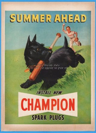 1950 Scottie Dog Scottish Terrier Baseball Bat Art Champion Spark Plug Co Ad