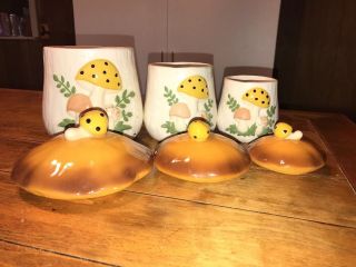 Sears and Roebuck Merry Mushroom canister set with salt and pepper shaker 2