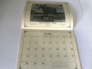 1987 Tennessee Walking Horse Calendar w/Vintage Photos of Famous TWH 2