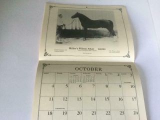 1987 Tennessee Walking Horse Calendar w/Vintage Photos of Famous TWH 3
