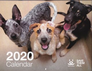 2020 Wall Calendar - Best Friends - Save Them All - Dogs,  Cats,  Horses; Animals
