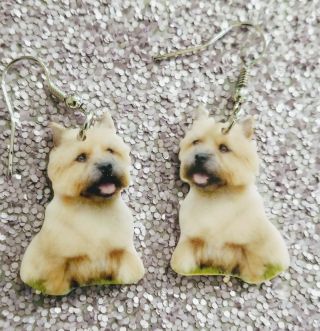 Norwich Terrier Dog Lightweight Earrings Jewelry Mydogsocks