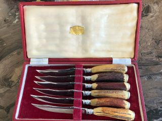 Set Of 6 Sheffield Bone Handle Steak Knives