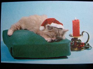 Vintage " Kitten Waiting For Santa " Christmas Greeting Card