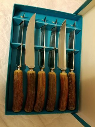 Vintage BIRKS Stag antler Steak Knives Sheffield England Set of 6 VGUC Stainless 3