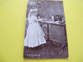 Young Girl With Cat Harding & Billings Postcard Sweet Kiddies Series