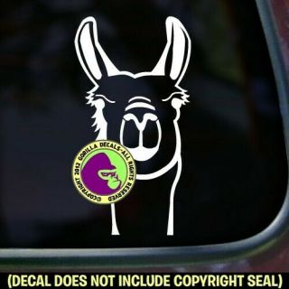 Llama Face Vinyl Decal Sticker Llamas Love Wall Sign Car Window Trailer Bumper