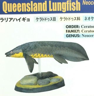 Colorata Fossil Fish Mini Figure Queensland Lungfish Import Japan