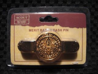 Official 2009 Bsa Boy Scout Merit Badge Sash Metal Lapel Pin