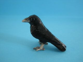 Little Critterz Bird " Trickster " Raven,  Funny & Popular,  Comes
