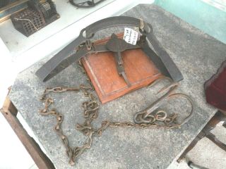 Newhouse No 4 1/2 Wolf Trap.  Oc Pat Date.  Complete Chain.