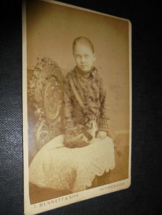 Cdv Old Photograph Girl With Cat By Bennett At Worcester C1880s