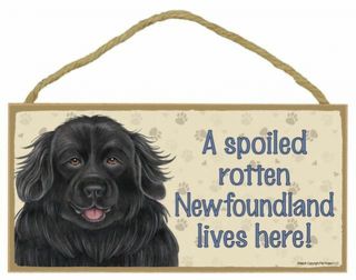 Spoiled Rotten Newfoundland Dog 5 X 10 Wood Sign Plaque Usa Made