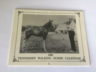 1989 Tennessee Walking Horse Calendar W/vintage Photos Of Famous Twh