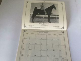 1989 Tennessee Walking Horse Calendar w/Vintage Photos of Famous TWH 3