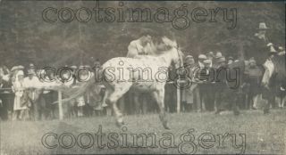 1928 Press Photo Measles The Spotted Horse At Rodeo Jasper Park Alberta Canada