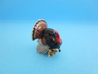 Little Critterz Bird  Gobbler " Turkey Figurine W/box Thanksgiving