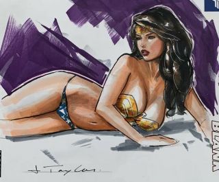 Wonder Woman Art Sketch Variant Signed Comic Dc Blank Sexy Drawing