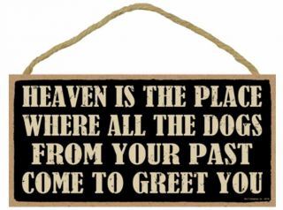 Heaven Is Place All Dogs From Your Past Come To Greet You Sign Plaque 10 " X 5 "