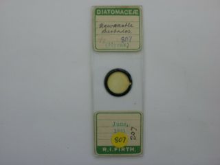 Antique Microscope Slide.  Diatoms By R.  I.  Firth.