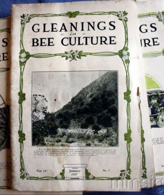 Gleanings in Bee Culture A.  I.  Root Co 11 Issues Jan.  1927 Missing Feb. 2