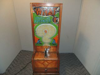 Vintage 1941 Exhibit Supply Co What Should I Be Ashamed Of 1 Cent Penny Machine