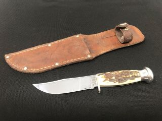 Vintage Case Fixed Blade Knife 557 Stag Handle Round Pommel