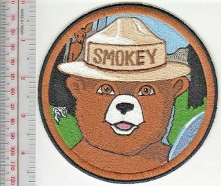 Smokey The Bear Us Forest Service Usfs Smokey 