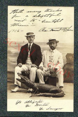 Miami Florida Stuffed Alligator Studio Prop - Circa 1906 Rppc Photo Grade 5