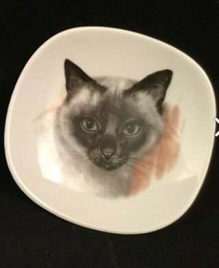 5 " Siamese Cat Decorative Porcelain Plate Schumann Arzberg Bavaria