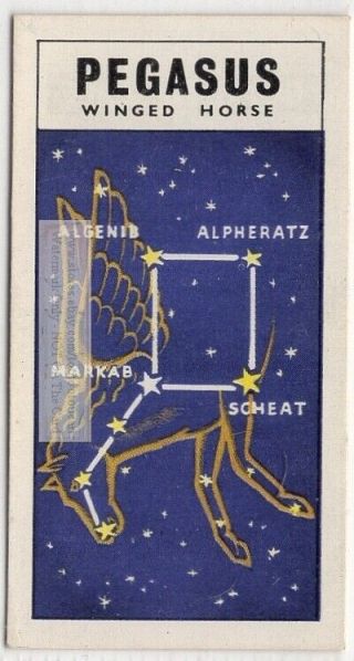 Pegasus Constellation Winged Horse Solar System Space Vintage Trade Card