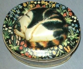 3d Sleeping Cat On Lid Oval Tin Trinket Box - Keller Charles - Black Floral