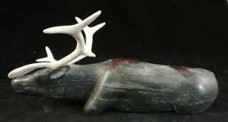 Vintage Inuit Eskimo Carved Stone Kneeling Elk.  Signed “m.  Kunana”.  8 ¾” X 3”.