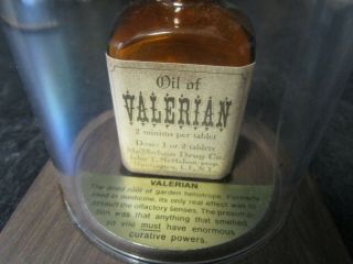 Vintage Surbex - T Pharmaceutical Drug Store Counter Display Item 3