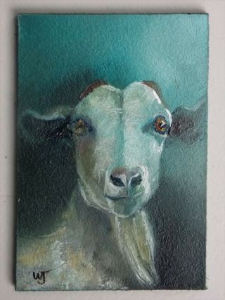 Aceo - William Jamison Miniature Oil Painting Goat Farmyard Portrait
