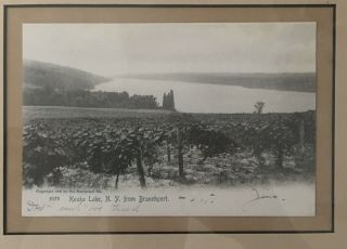 Collage of Keuka Lake postcards,  Glenn Curtiss wing plane 3