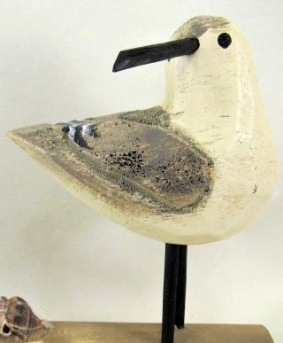 Shore Bird with shell hand carved wood sea life figurine (A) 2