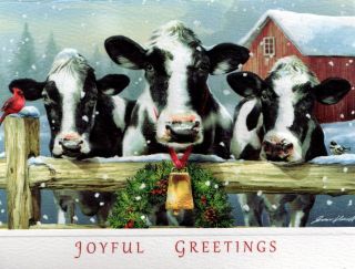 10 Embossed Boxed Christmas Cards Cows Holsteins Farm Barn Cattle