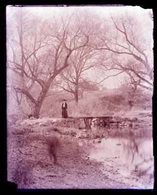 (1) Late 1800s Early 1900s Glass Negative,  Pond With Woman,  Unknown Local