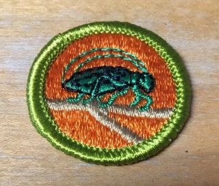 Boy Scouts Insect Life Merit Badge Type G