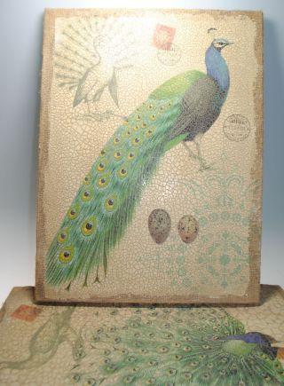 Set Peacock Accent Wall Art About 16.  24 X 12 On Burlap